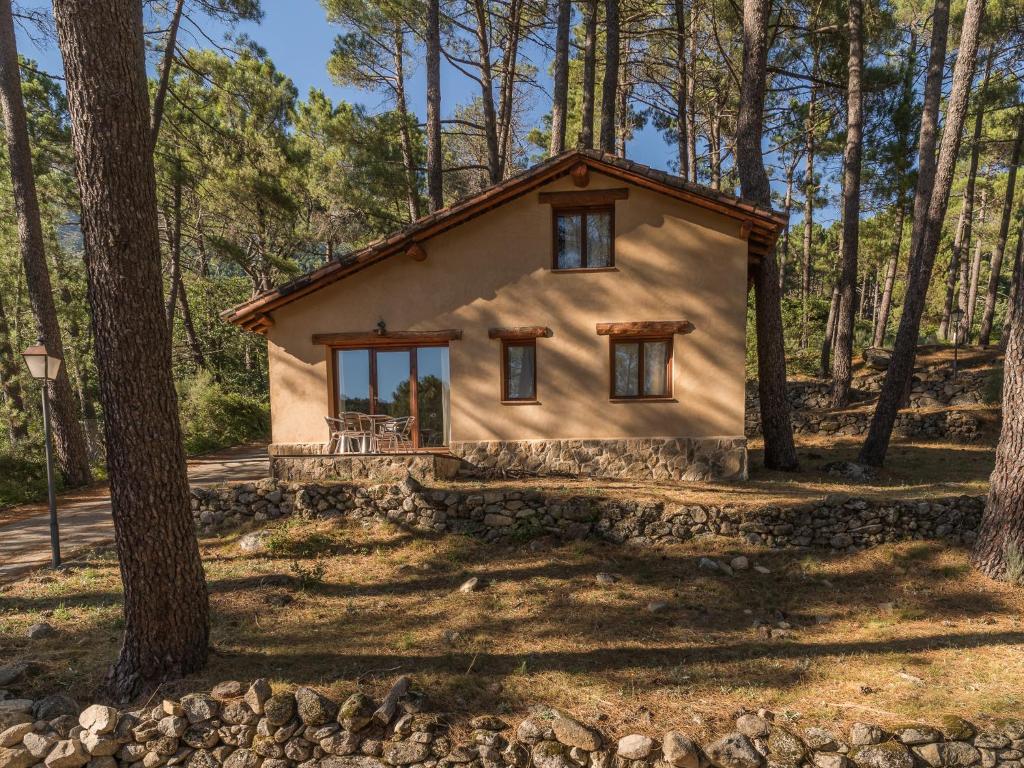 Casa de madera y piedra en el bosque de pinos