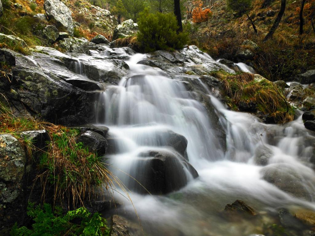 Arroyo en la naturaleza